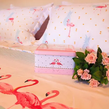 Luxury Butterfly Varna